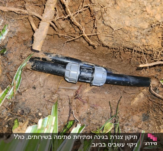 צינור שחור עם מחבר באדמה, מוקף בשורשים ודשא